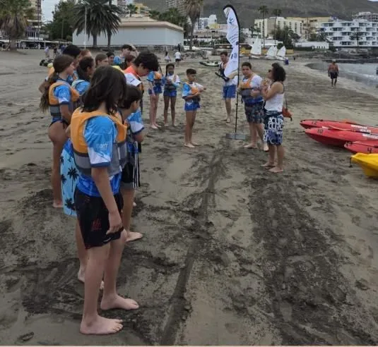 Participants lined up on the sand holding their paddles